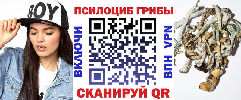 Галлюциногенные грибы Magic Shrooms  Окуловка 